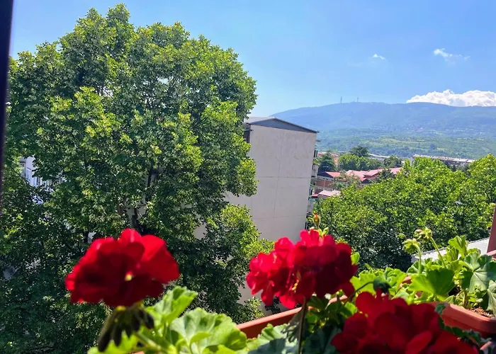 Sunrise * סקופיה